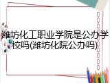 潍坊化工职业学院是公办学校吗(潍坊化院公办吗)