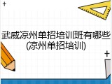 武威凉州单招培训班有哪些(凉州单招培训)