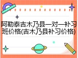 阿勒泰吉木乃县一对一补习班价格(吉木乃县补习价格)