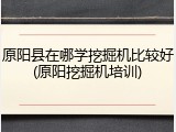 原阳县在哪学挖掘机比较好(原阳挖掘机培训)
