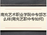 南充艺术职业学院中专部怎么样(南充艺职中专如何)
