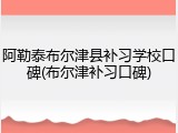 阿勒泰布尔津县补习学校口碑(布尔津补习口碑)