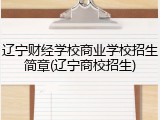 辽宁财经学校商业学校招生简章(辽宁商校招生)