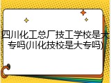 四川化工总厂技工学校是大专吗(川化技校是大专吗)