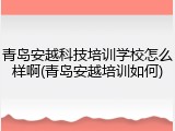 青岛安越科技培训学校怎么样啊(青岛安越培训如何)
