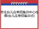 枣庄台儿庄单招集训中心在哪(台儿庄单招集训点)