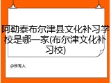 阿勒泰布尔津县文化补习学校是哪一家(布尔津文化补习校)