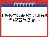 十堰郧西县单招培训班有哪些(郧西单招培训)