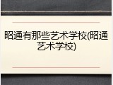 昭通有那些艺术学校(昭通艺术学校)