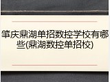 肇庆鼎湖单招数控学校有哪些(鼎湖数控单招校)