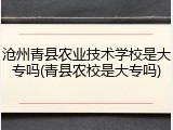 沧州青县农业技术学校是大专吗(青县农校是大专吗)