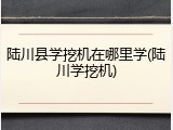 陆川县学挖机在哪里学(陆川学挖机)