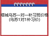 塔城乌苏一对一补习班价格(乌苏1对1补习价)