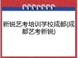 新锐艺考培训学校成都(成都艺考新锐)