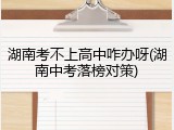湖南考不上高中咋办呀(湖南中考落榜对策)
