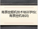 青原挖掘机技术培训学校(青原挖机培训)