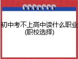 初中考不上高中读什么职业(职校选择)