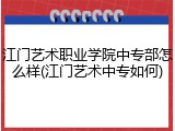 江门艺术职业学院中专部怎么样(江门艺术中专如何)