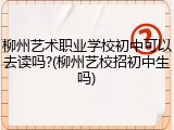 柳州艺术职业学校初中可以去读吗?(柳州艺校招初中生吗)