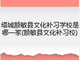 塔城额敏县文化补习学校是哪一家(额敏县文化补习校)