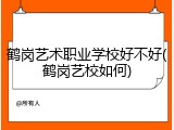 鹤岗艺术职业学校好不好(鹤岗艺校如何)