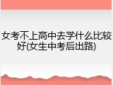 女考不上高中去学什么比较好(女生中考后出路)