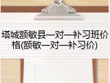 塔城额敏县一对一补习班价格(额敏一对一补习价)