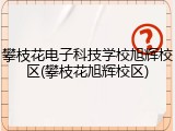 攀枝花电子科技学校旭辉校区(攀枝花旭辉校区)