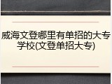 威海文登哪里有单招的大专学校(文登单招大专)