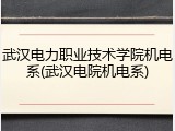 武汉电力职业技术学院机电系(武汉电院机电系)