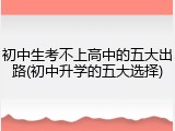 初中生考不上高中的五大出路(初中升学的五大选择)