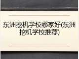 东洲挖机学校哪家好(东洲挖机学校推荐)