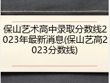 保山艺术高中录取分数线2023年最新消息(保山艺高2023分数线)