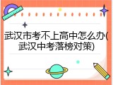 武汉市考不上高中怎么办(武汉中考落榜对策)