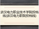 武汉电力职业技术学院投档线(武汉电力职院投档线)