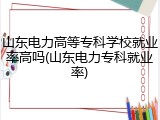 山东电力高等专科学校就业率高吗(山东电力专科就业率)
