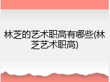 林芝的艺术职高有哪些(林芝艺术职高)