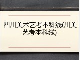 四川美术艺考本科线(川美艺考本科线)