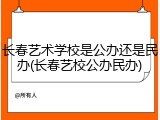长春艺术学校是公办还是民办(长春艺校公办民办)