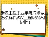 武汉工程职业学院汽修专业怎么样("武汉工程职院汽修专业")