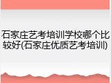 石家庄艺考培训学校哪个比较好(石家庄优质艺考培训)
