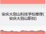 安庆大别山科技学校推荐(安庆大别山职校)