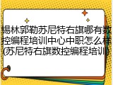 锡林郭勒苏尼特右旗哪有数控编程培训中心中职怎么样(苏尼特右旗数控编程培训)