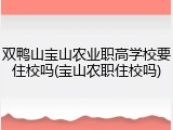 双鸭山宝山农业职高学校要住校吗(宝山农职住校吗)