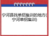 宁河县找单招集训的地方(宁河单招集训)