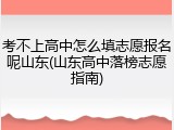 考不上高中怎么填志愿报名呢山东(山东高中落榜志愿指南)