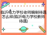 临沂电力学校老师编制待遇怎么样(临沂电力学校教师待遇)