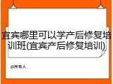 宜宾哪里可以学产后修复培训班(宜宾产后修复培训)