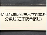 辽河石油职业技术学院单招分数线(辽职院单招线)