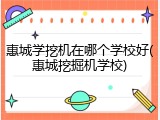 惠城学挖机在哪个学校好(惠城挖掘机学校)